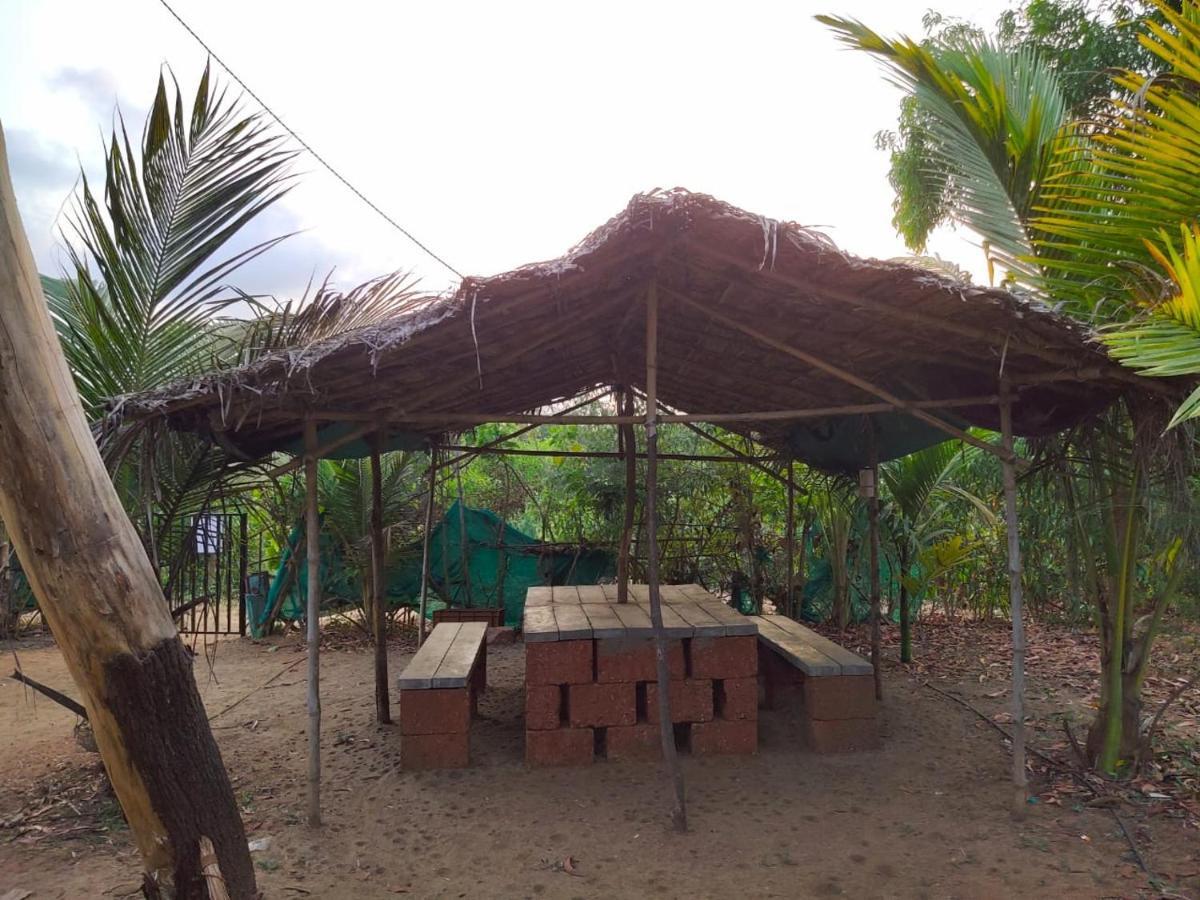 Whistling Waves Beach Resort Ānjarle Exterior foto